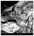 Applsci 15 02988 i031 Applsci 15 02988 i031