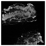 Applsci 15 02988 i032 Applsci 15 02988 i032