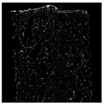 Applsci 15 02988 i035 Applsci 15 02988 i035