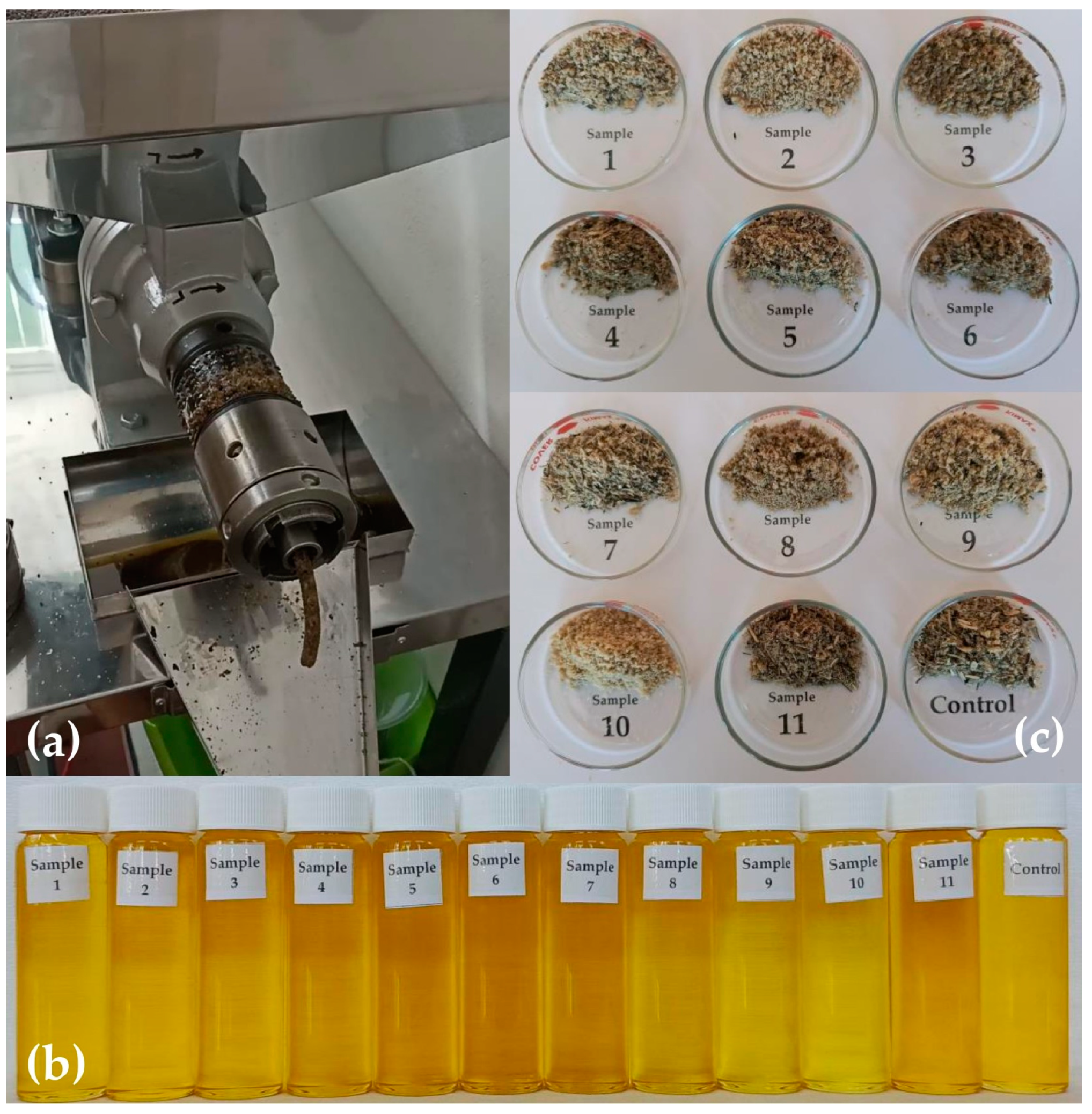 Applsci 15 03012 g001