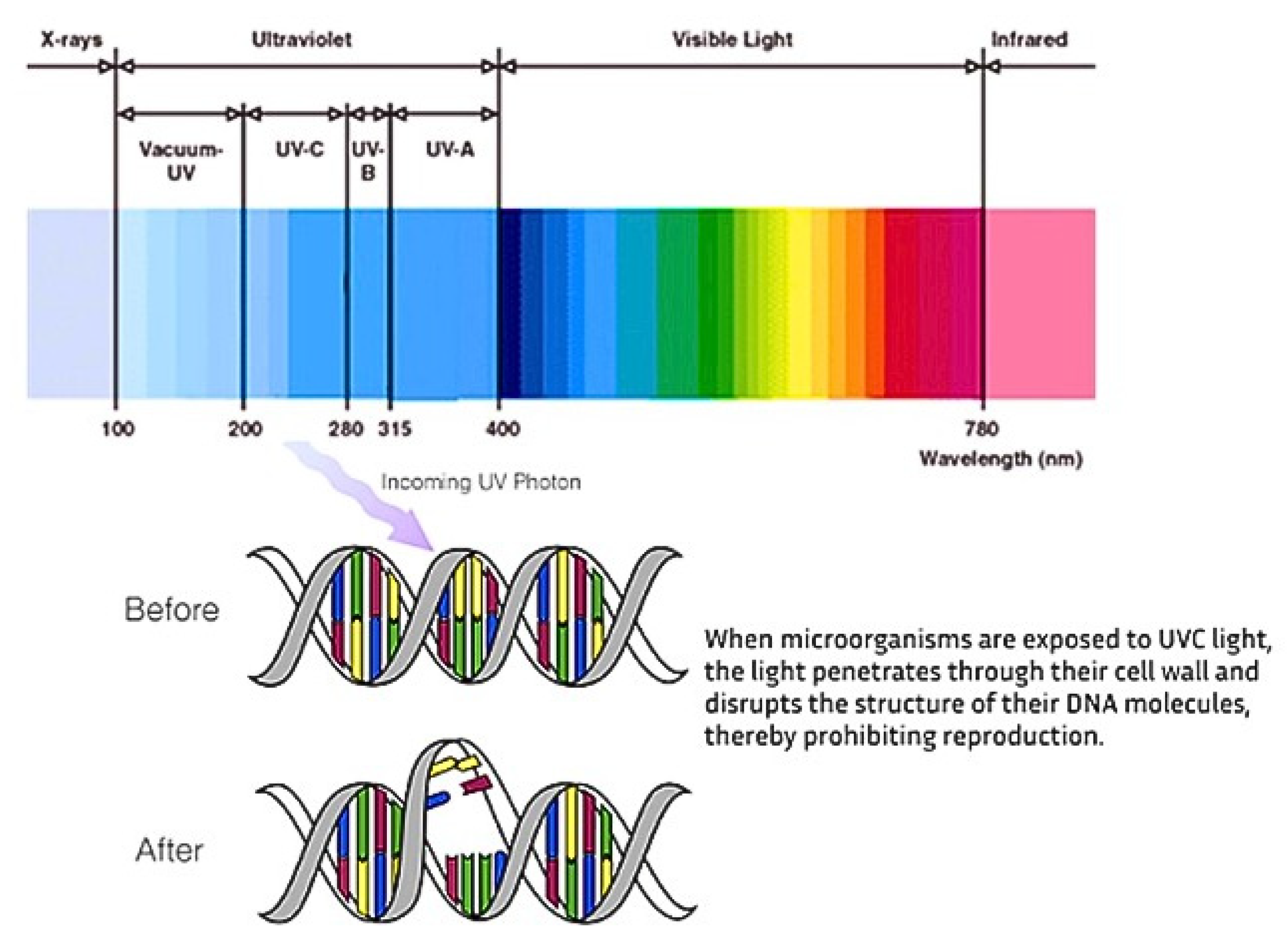 Applsci 15 03049 g004