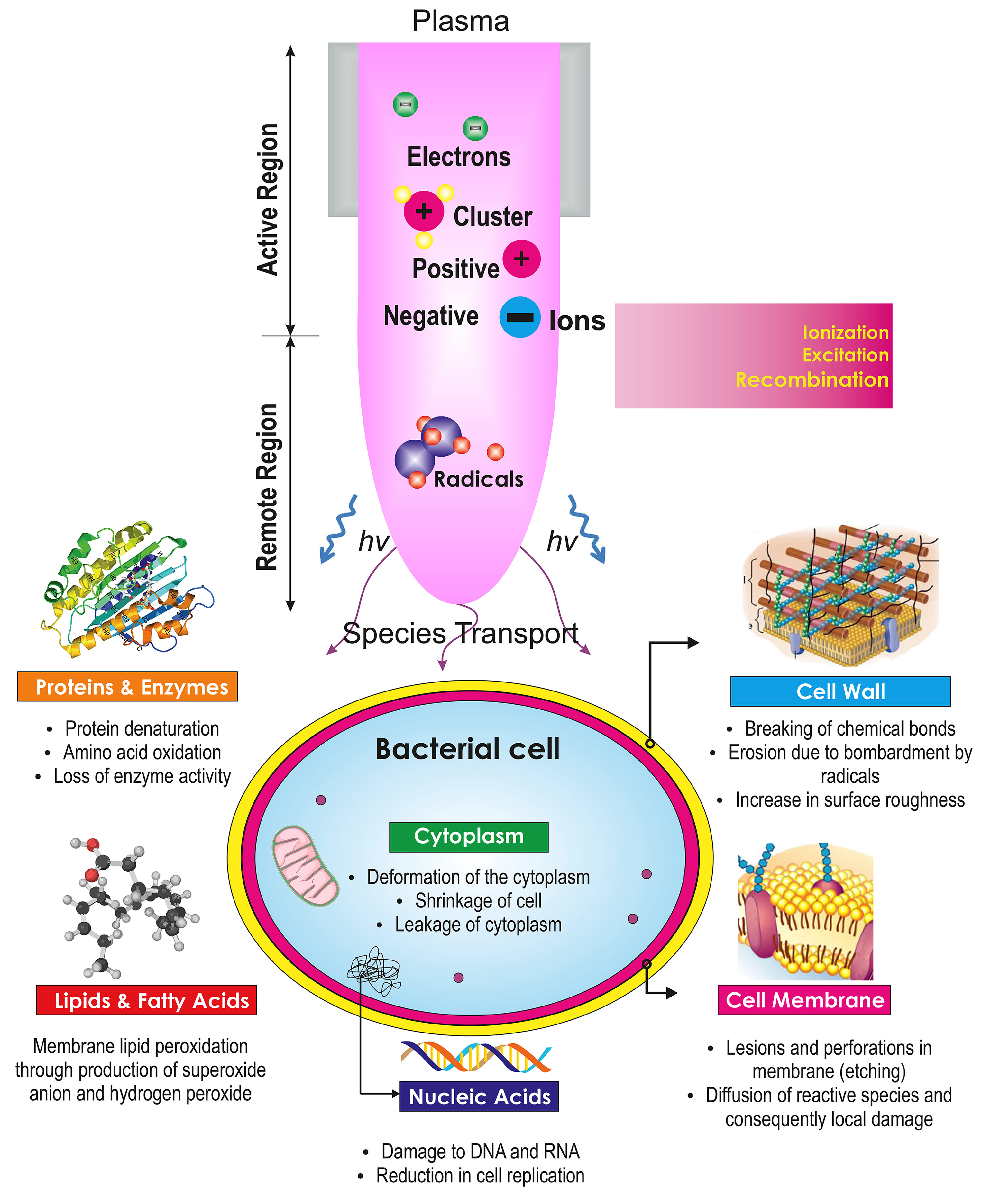 Applsci 15 03049 g005