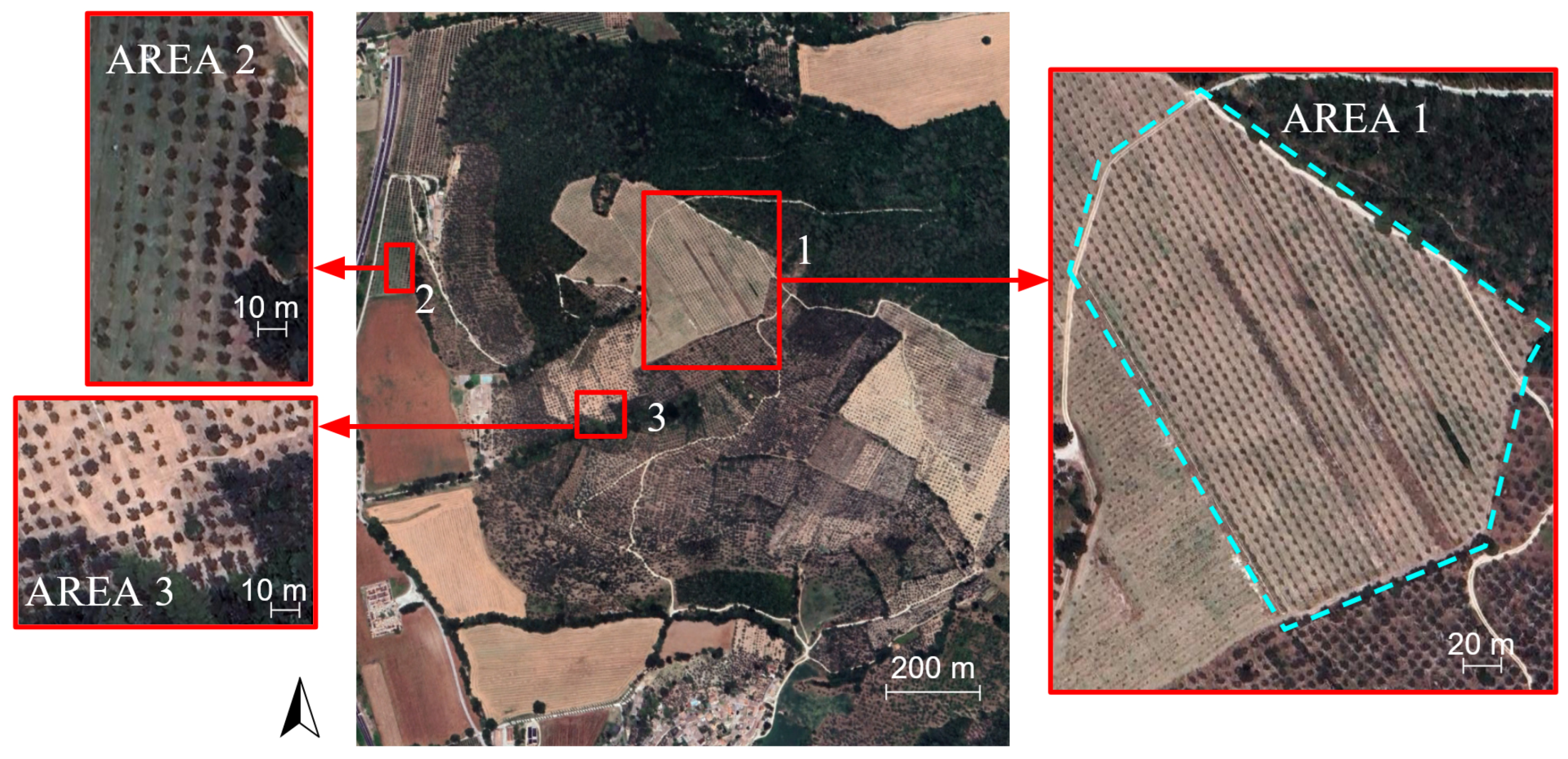 Applsci 15 03066 g005