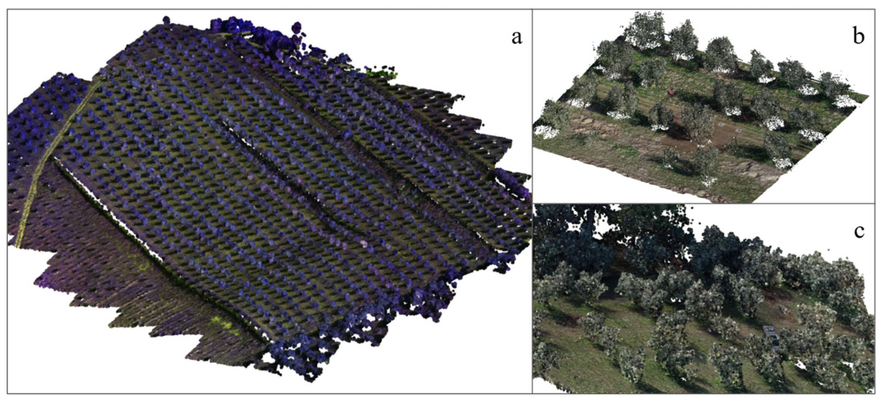Applsci 15 03066 g007