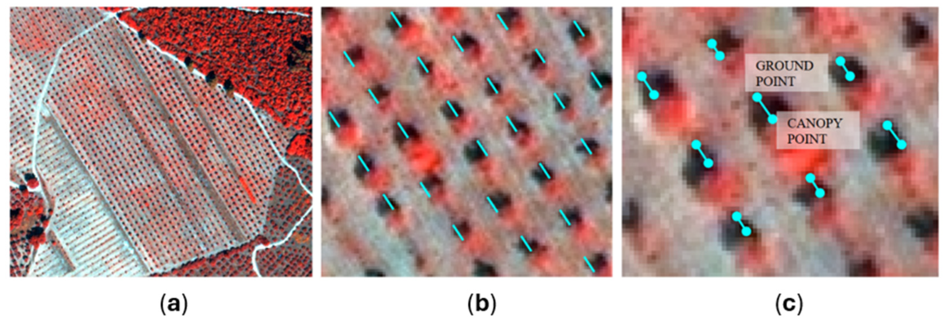 Applsci 15 03066 g009