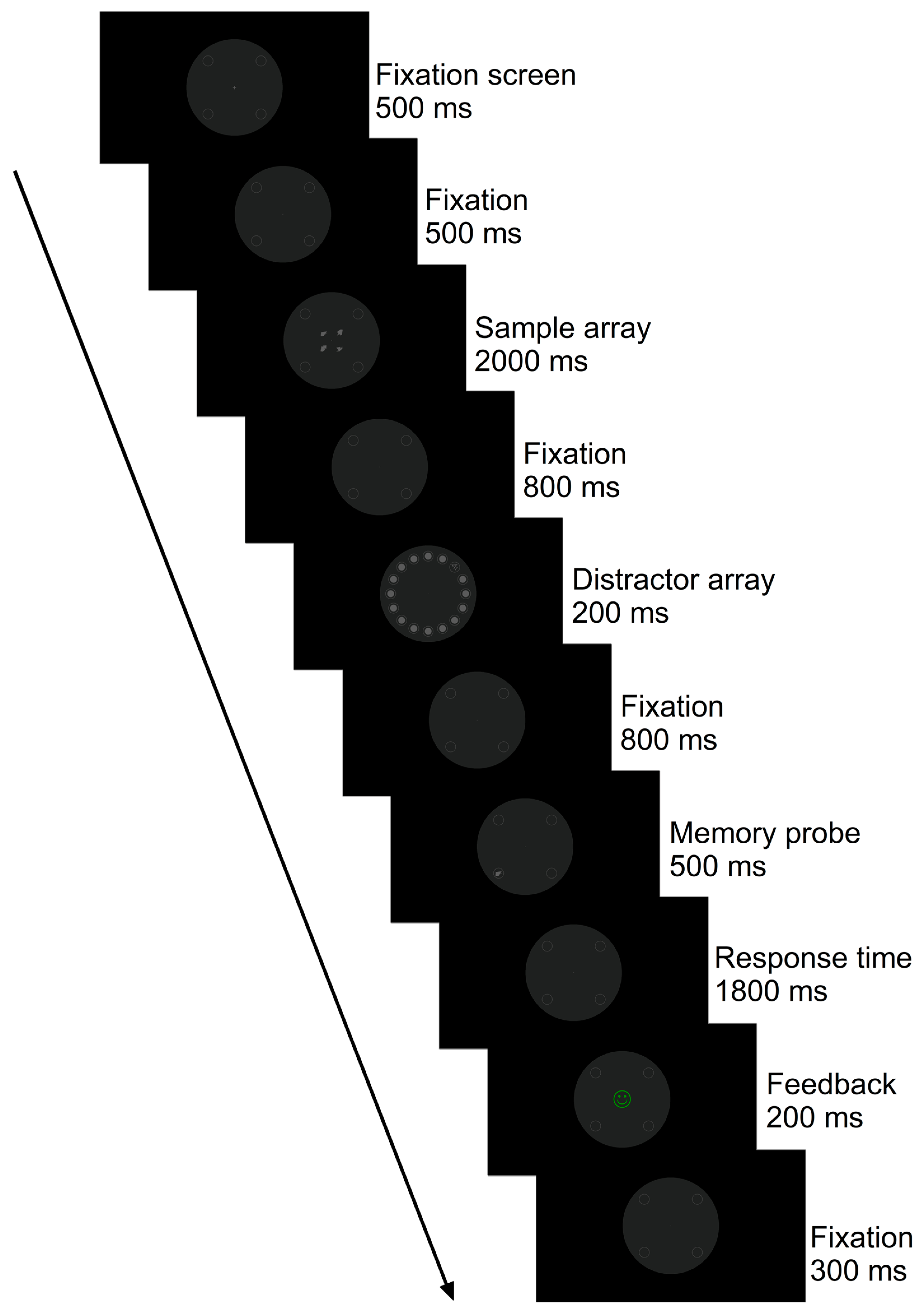 Applsci 15 03069 g001
