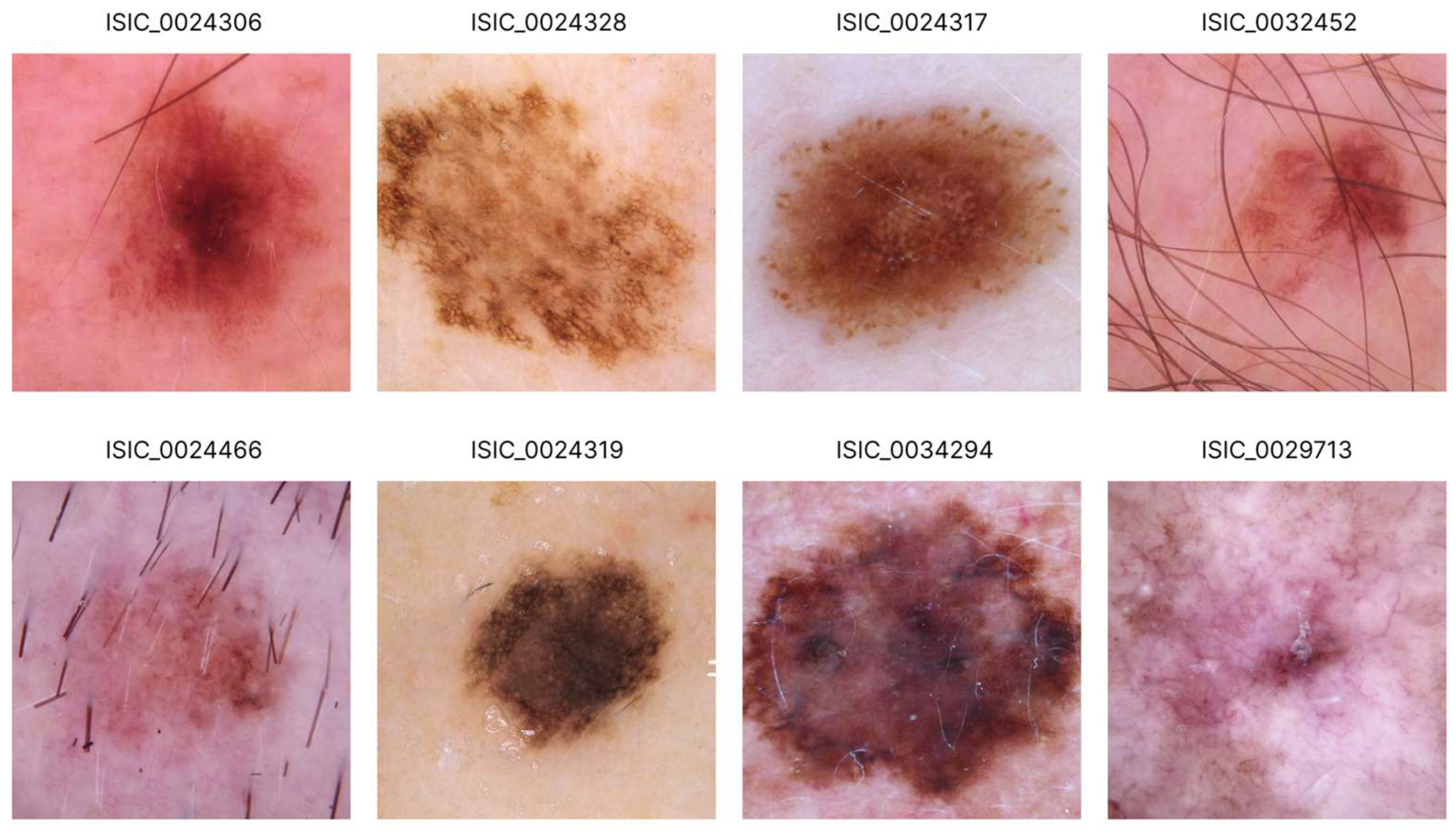 Applsci 15 03077 g004