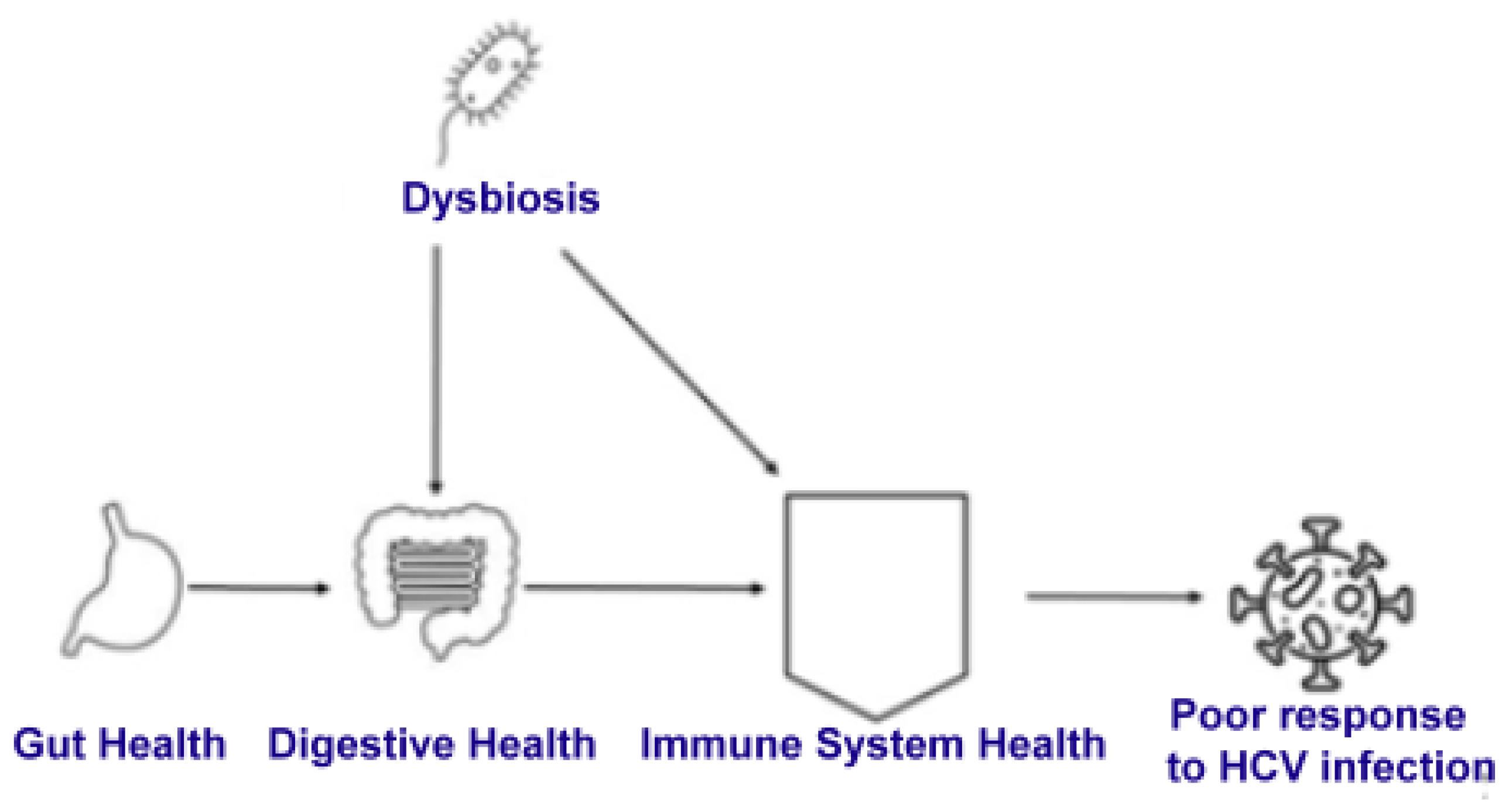 Applsci 15 03157 g002