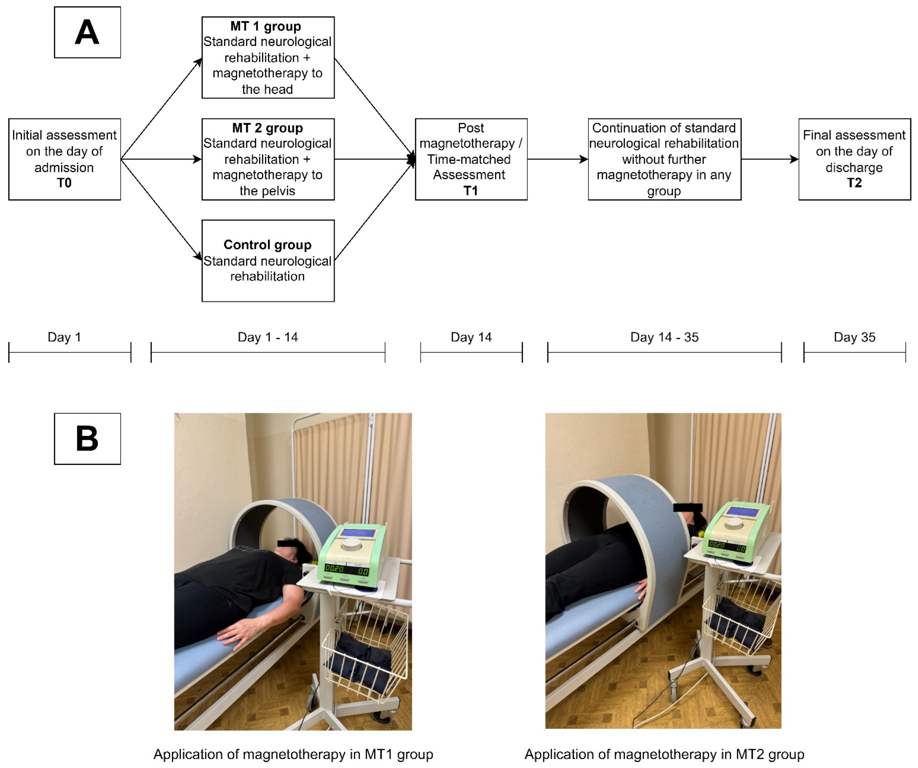 Applsci 15 03182 g001