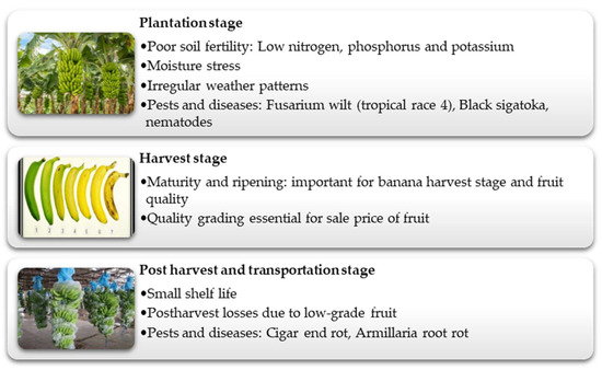 Applsci 15 03195 g002