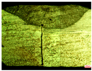 Applsci 15 03227 i005