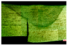 Applsci 15 03227 i006