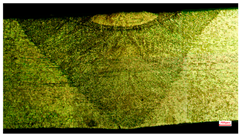 Applsci 15 03227 i007