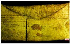 Applsci 15 03227 i009