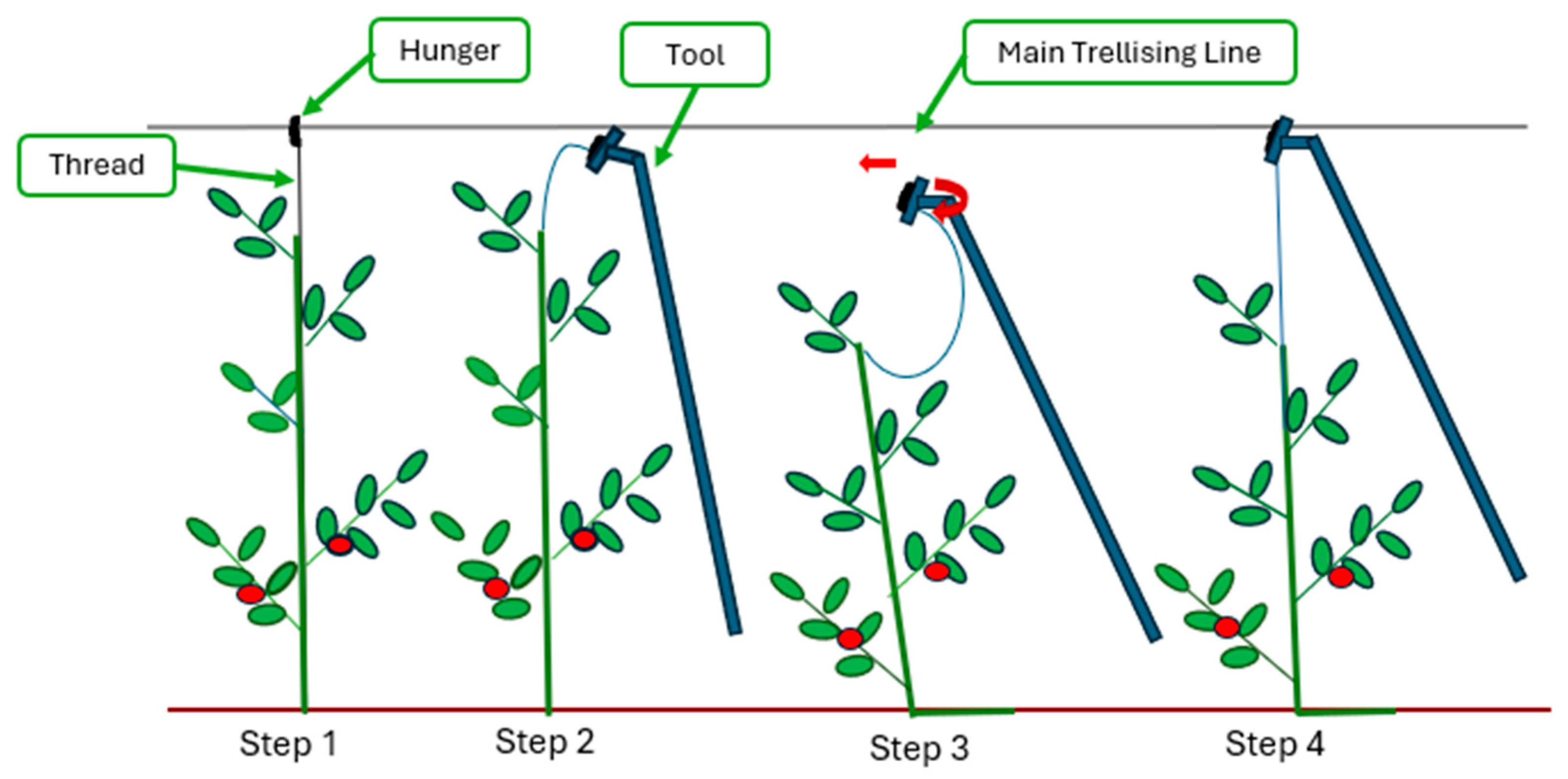 Applsci 15 03263 g006
