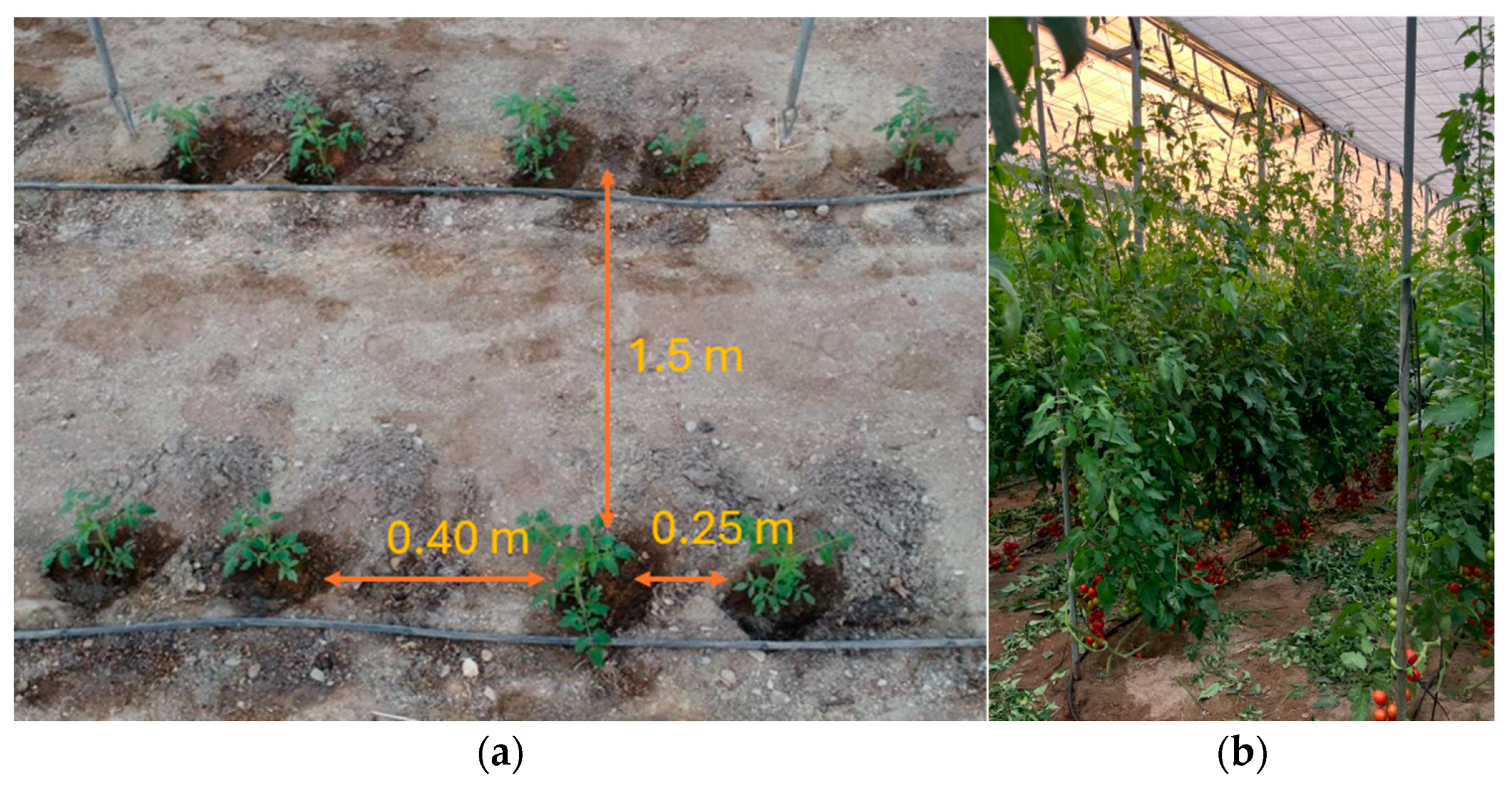 Applsci 15 03263 g008