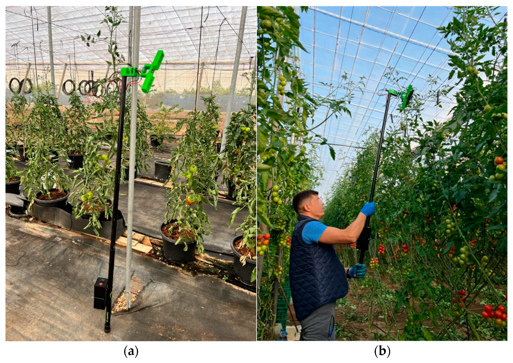 Applsci 15 03263 g011