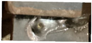 Applsci 15 03280 i004