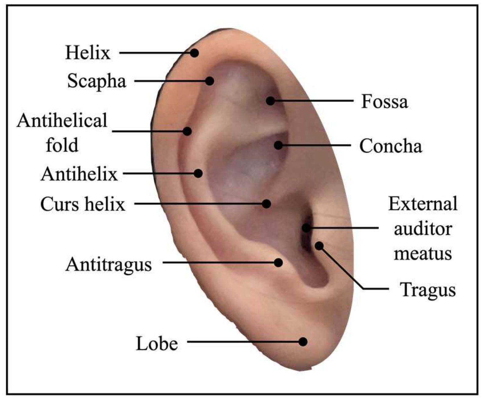 Applsci 15 03329 g007
