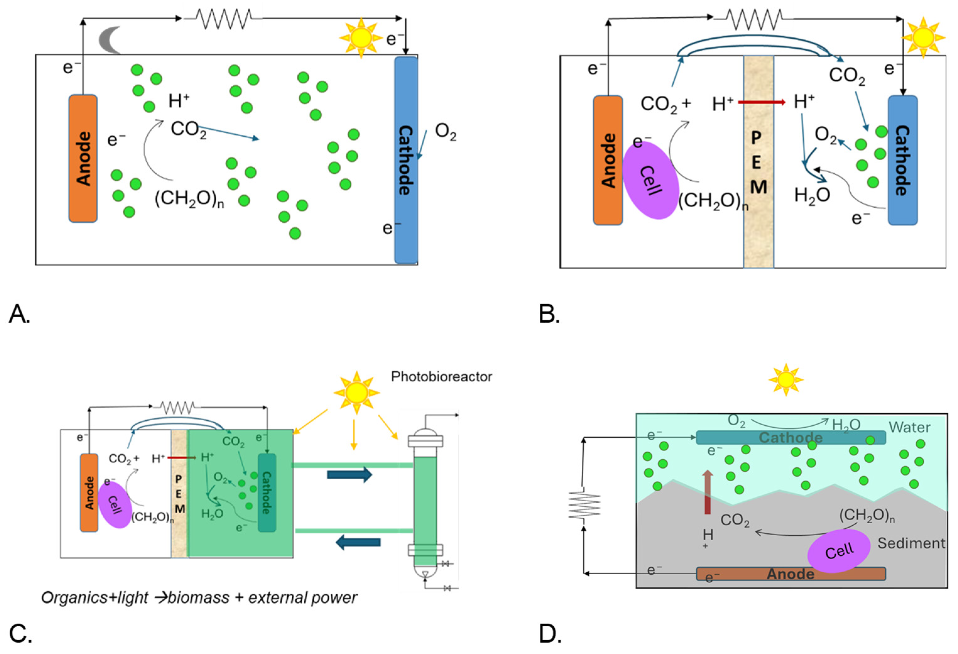 Applsci 15 03335 g005