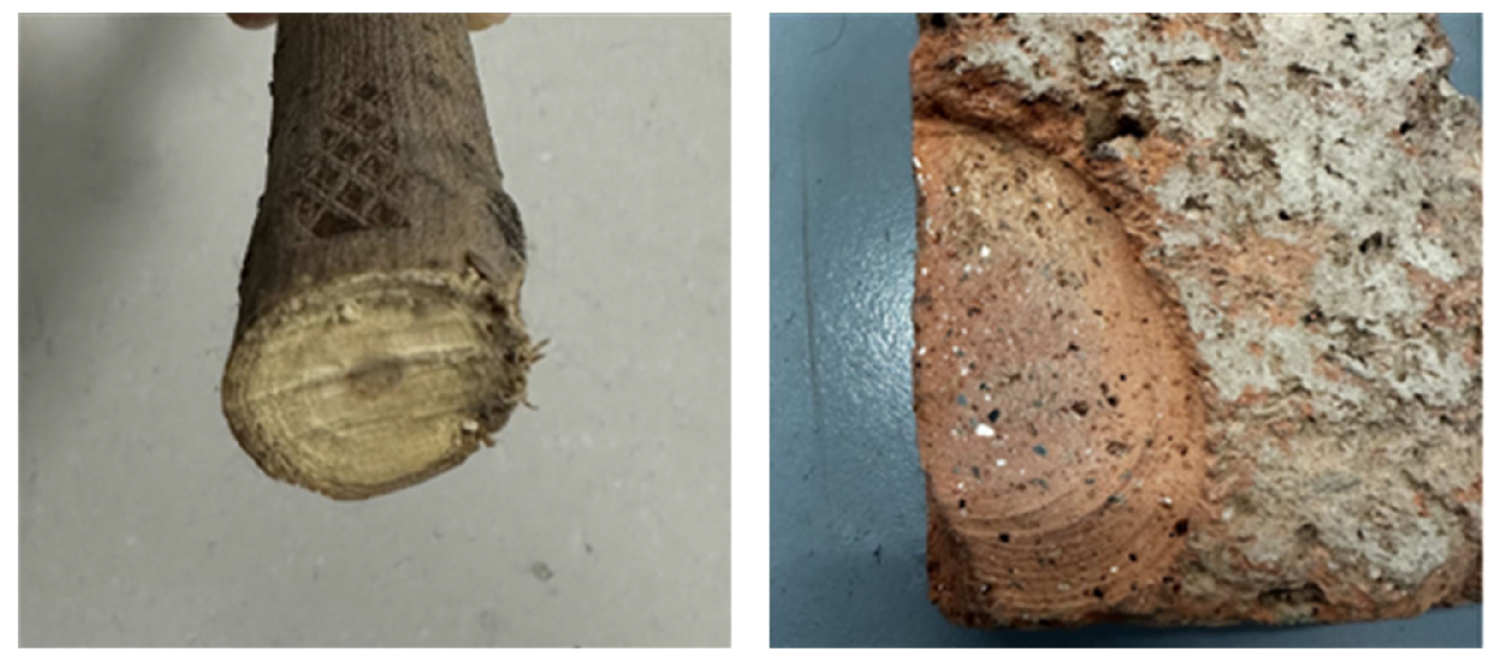 Applsci 15 03426 g015