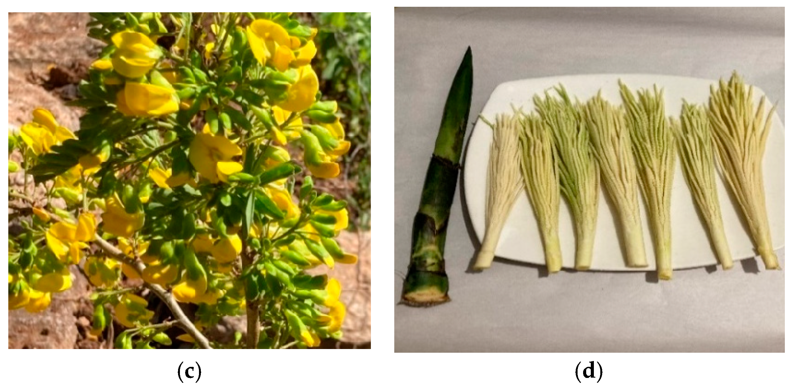 Applsci 15 03432 g001b