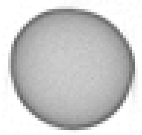 Applsci 15 03470 i001