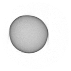 Applsci 15 03470 i011