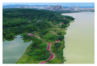 Applsci 15 03483 i001