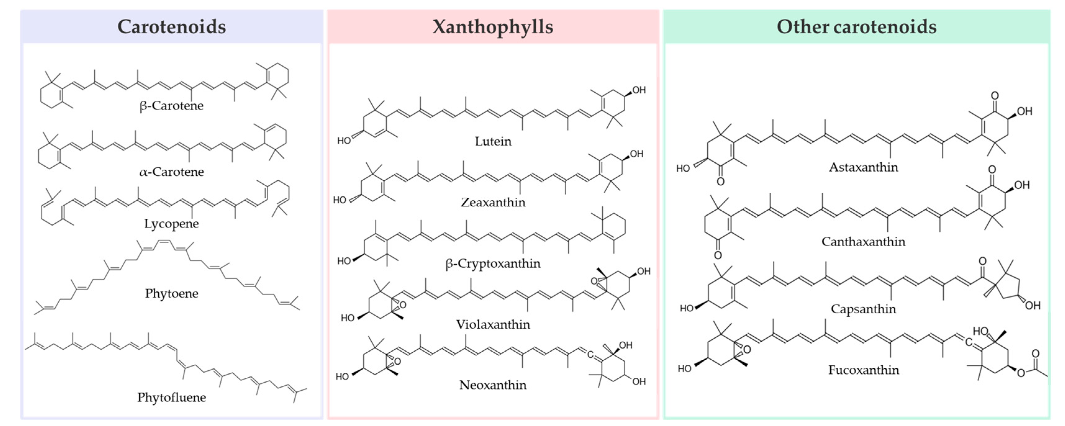 Applsci 15 03506 g001