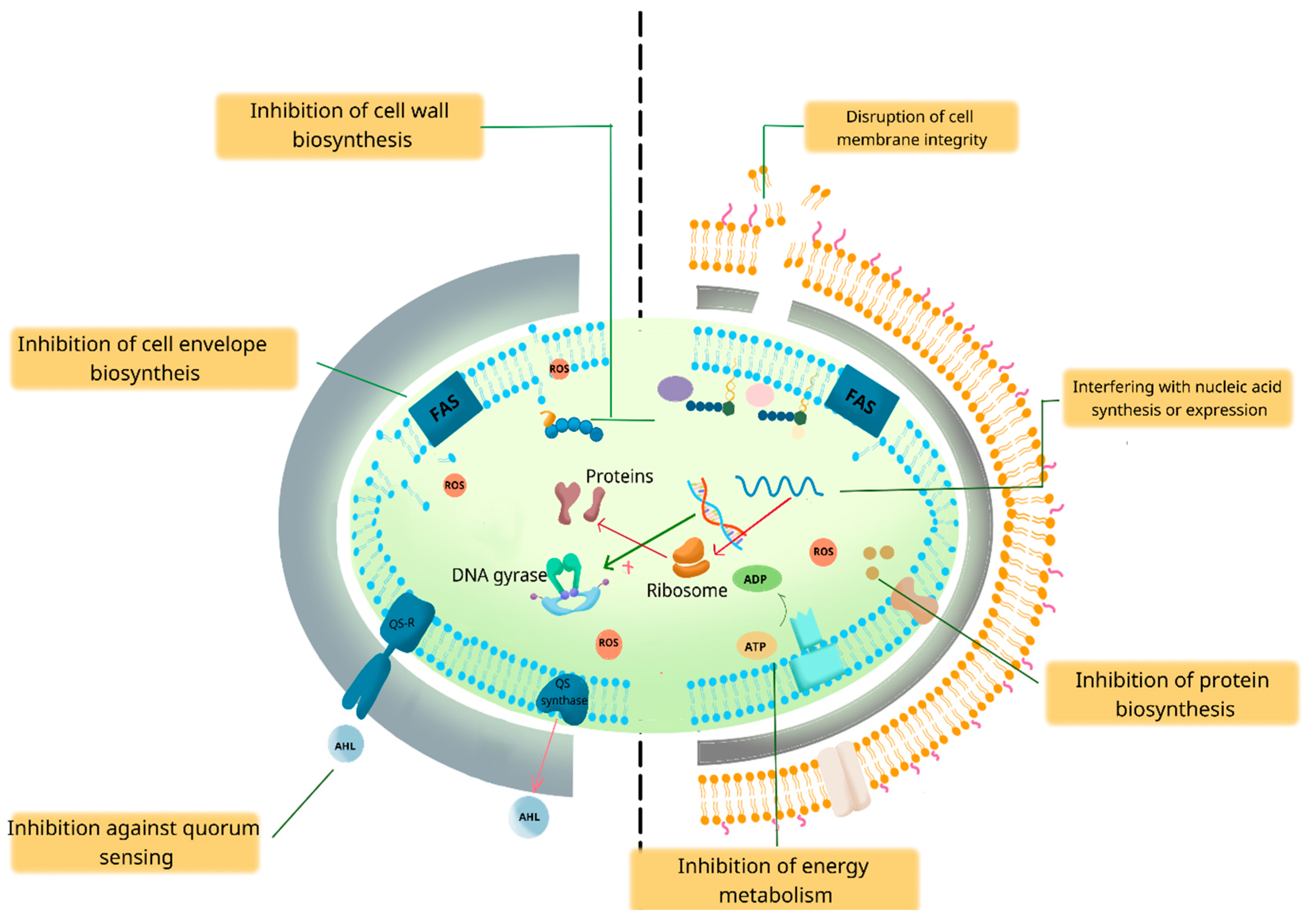 Applsci 15 03516 g003