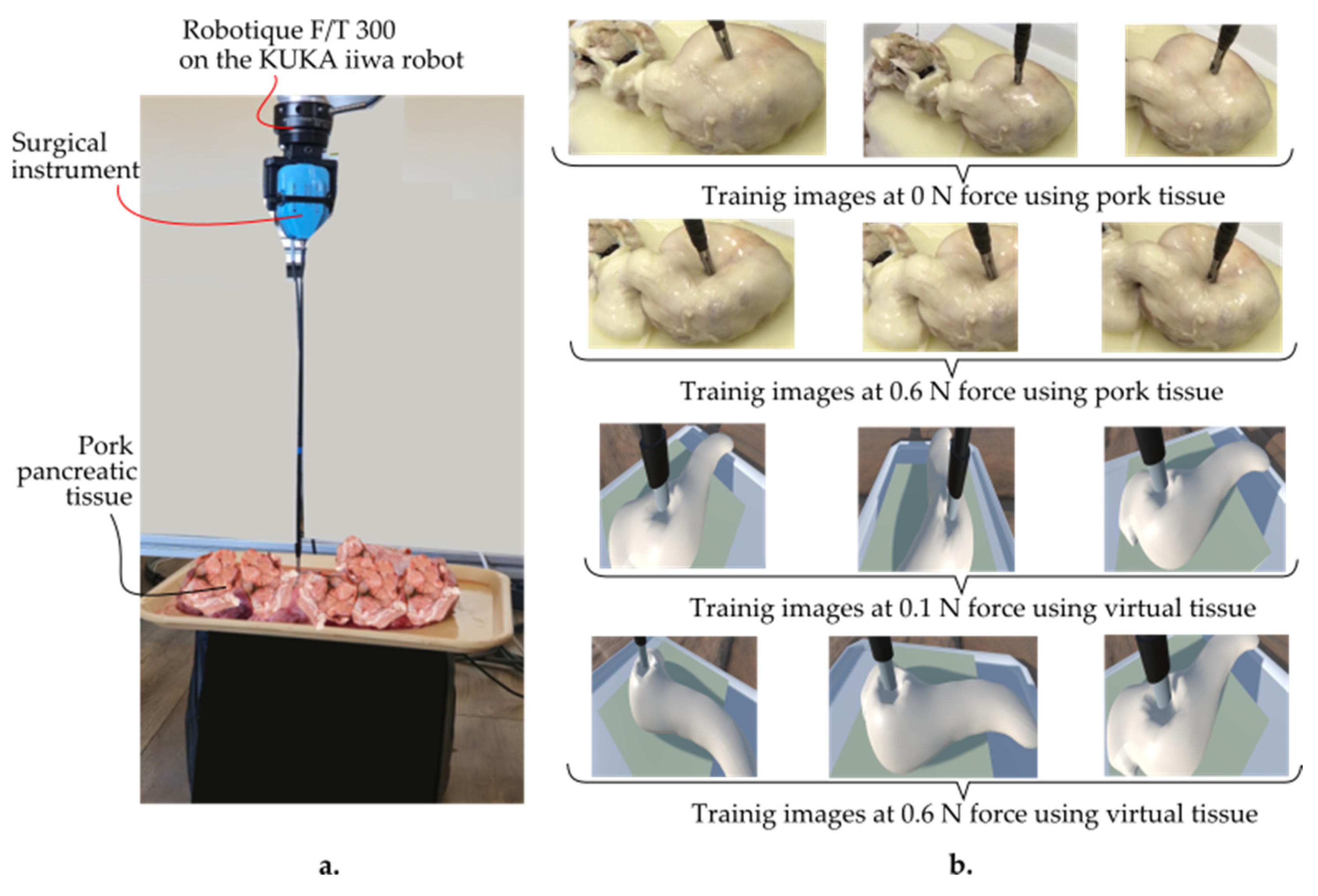 Applsci 15 03532 g005