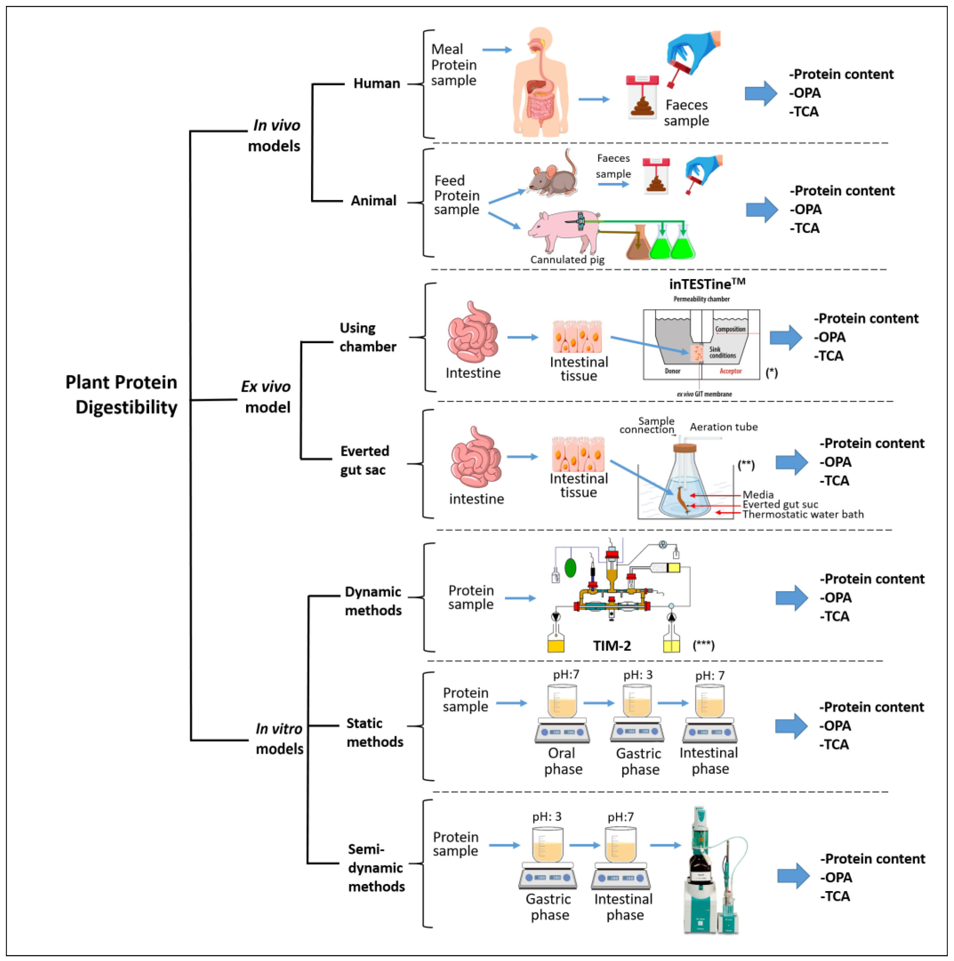 Applsci 15 03538 g001