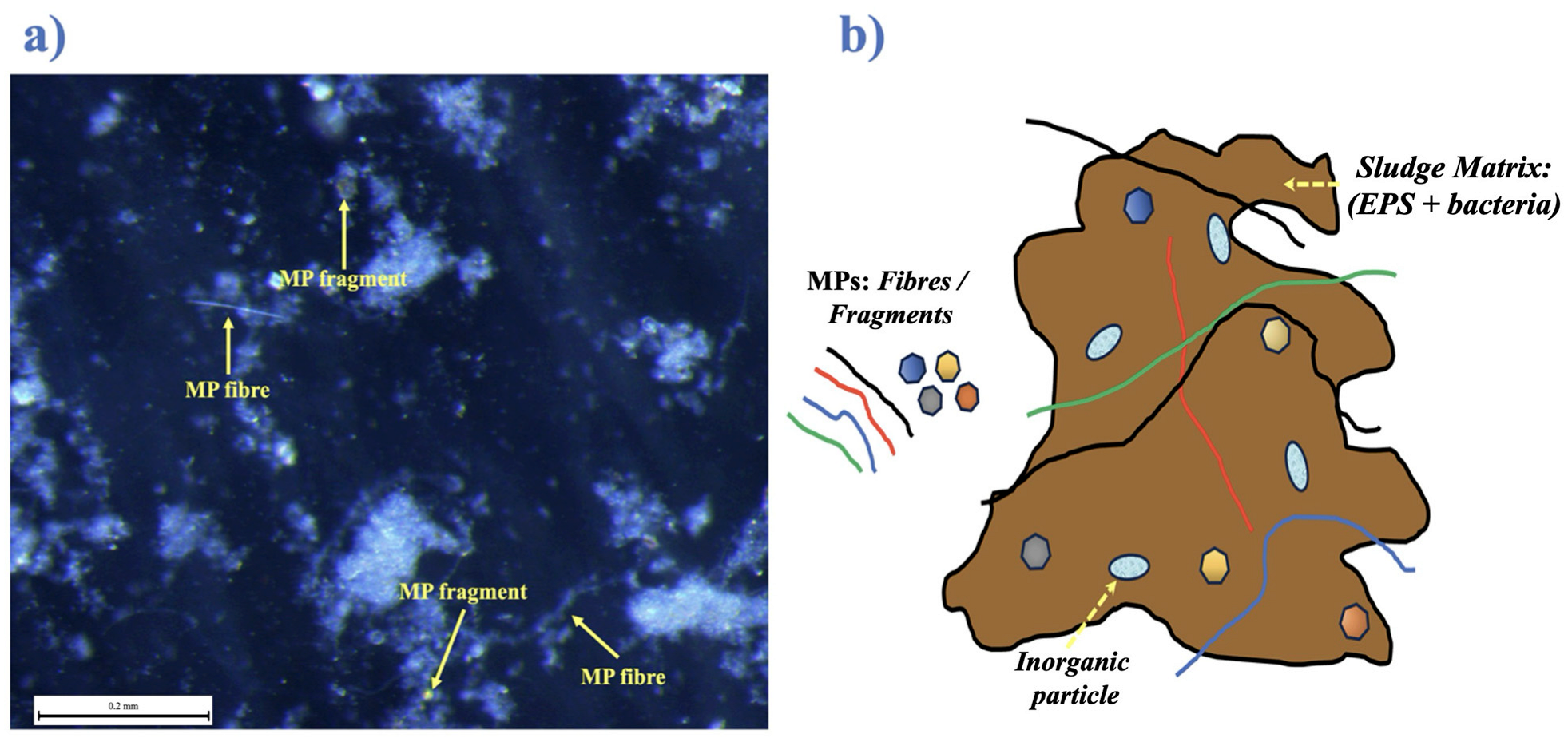 Applsci 15 03557 g002