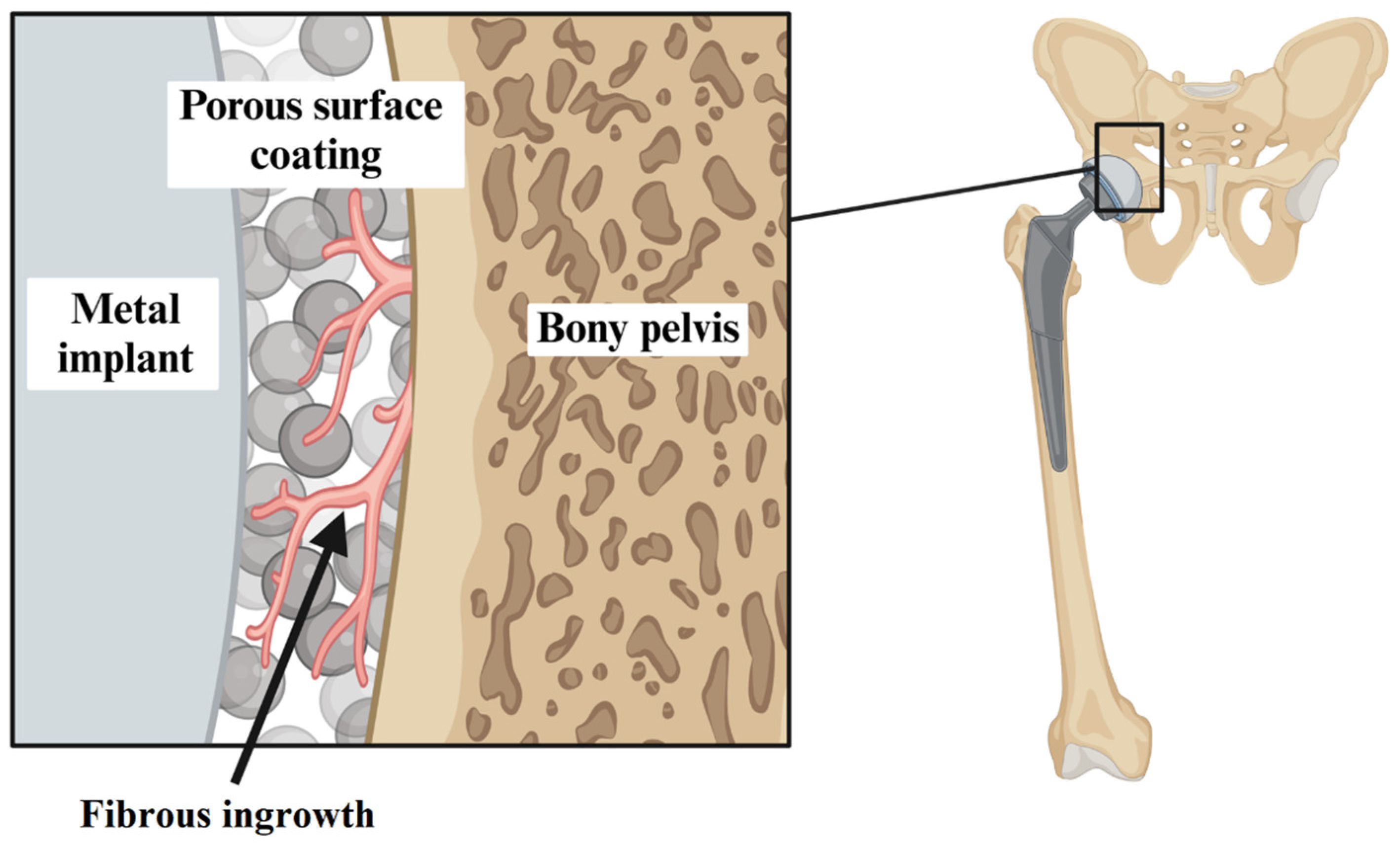 Applsci 15 03722 g001