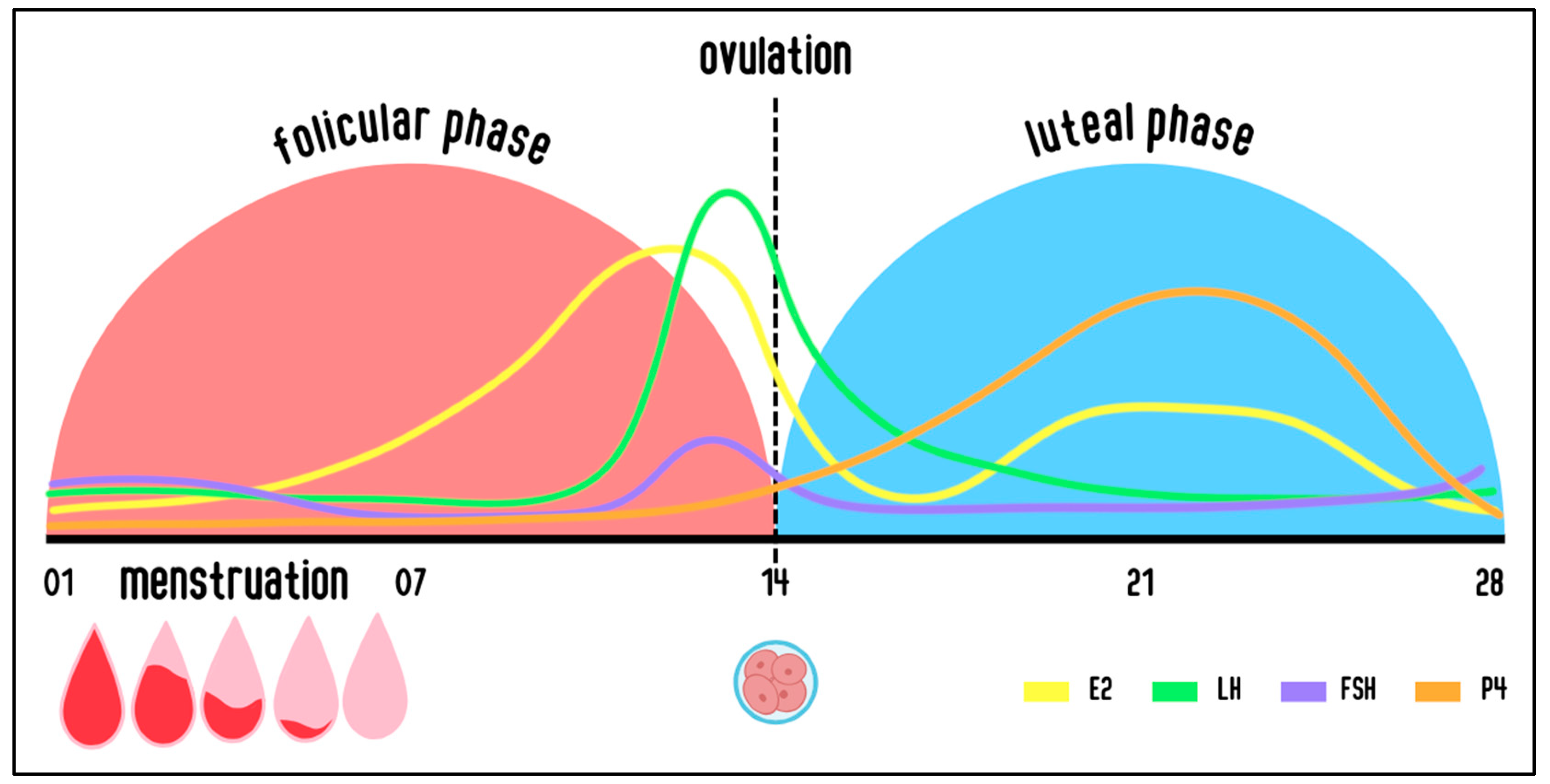 Applsci 15 03749 g001