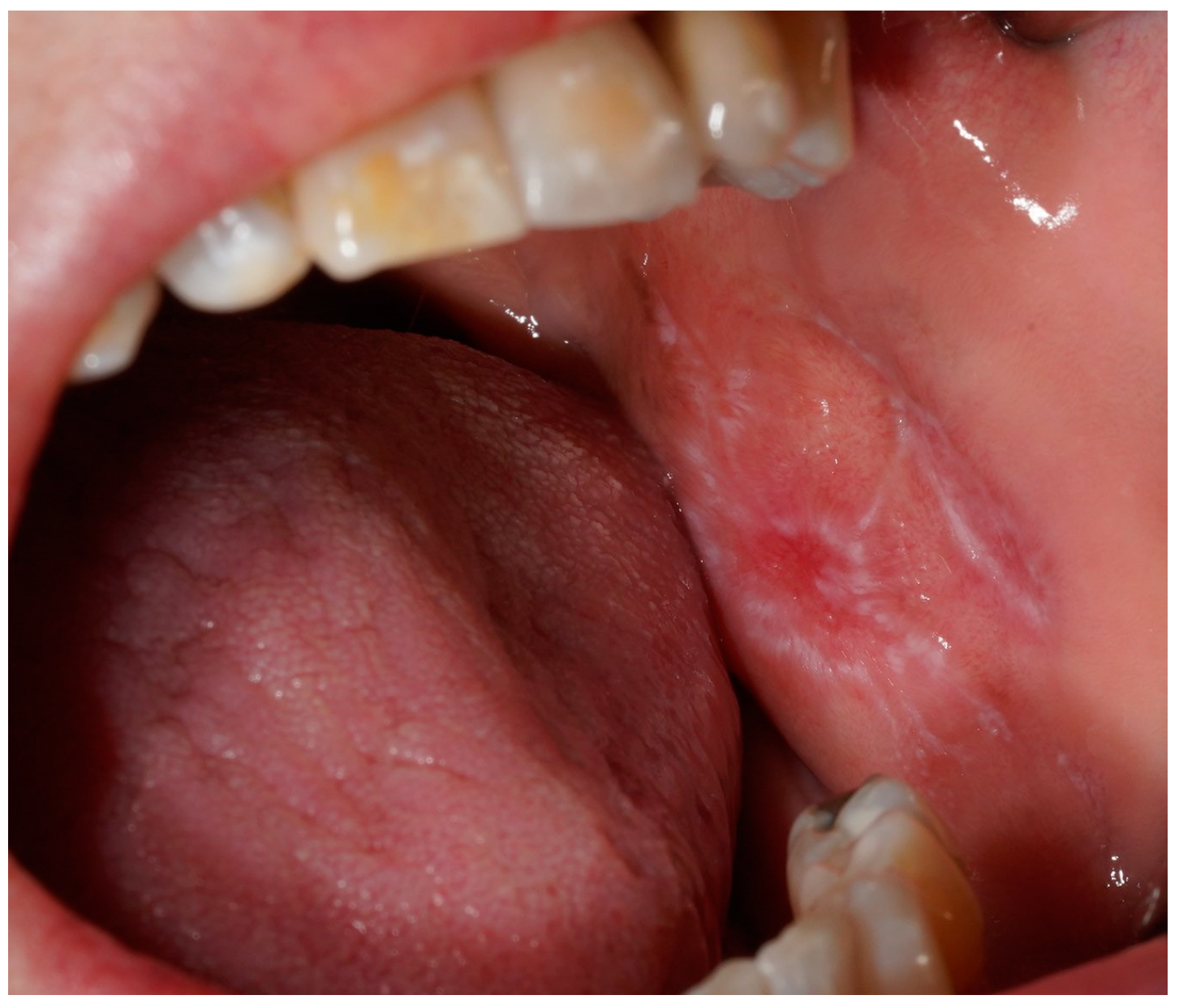 Applsci 15 03750 g001