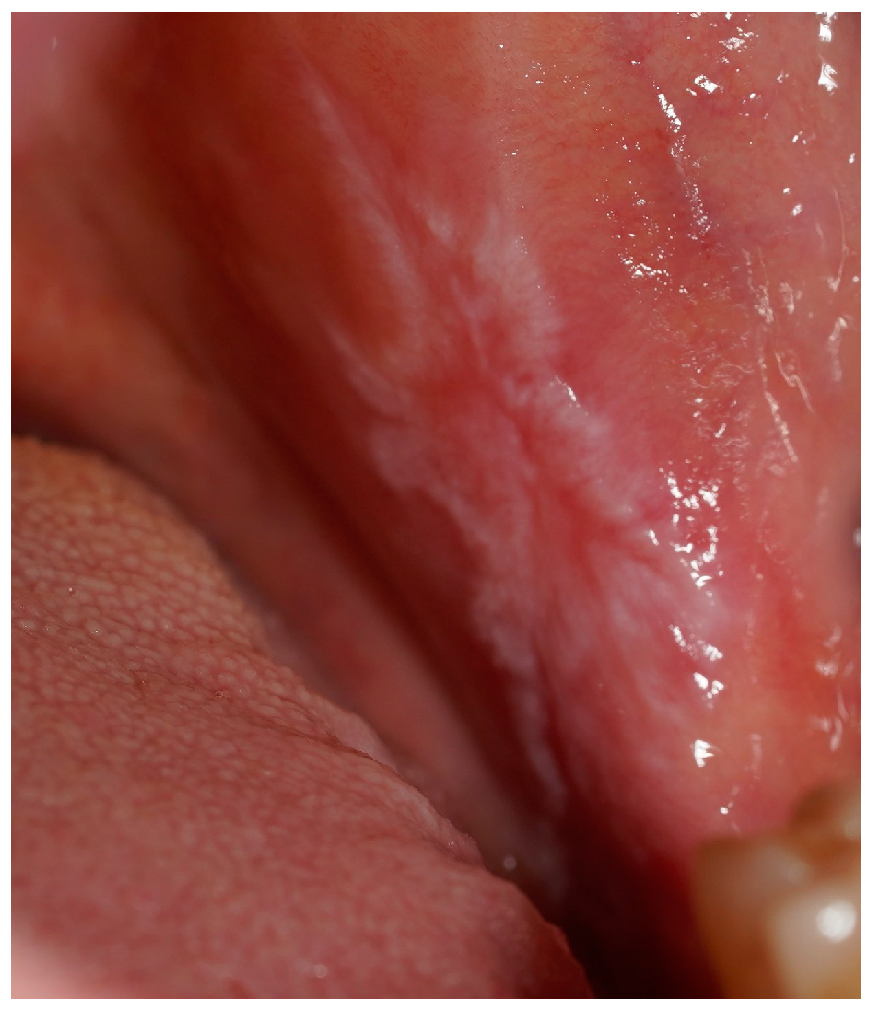 Applsci 15 03750 g002