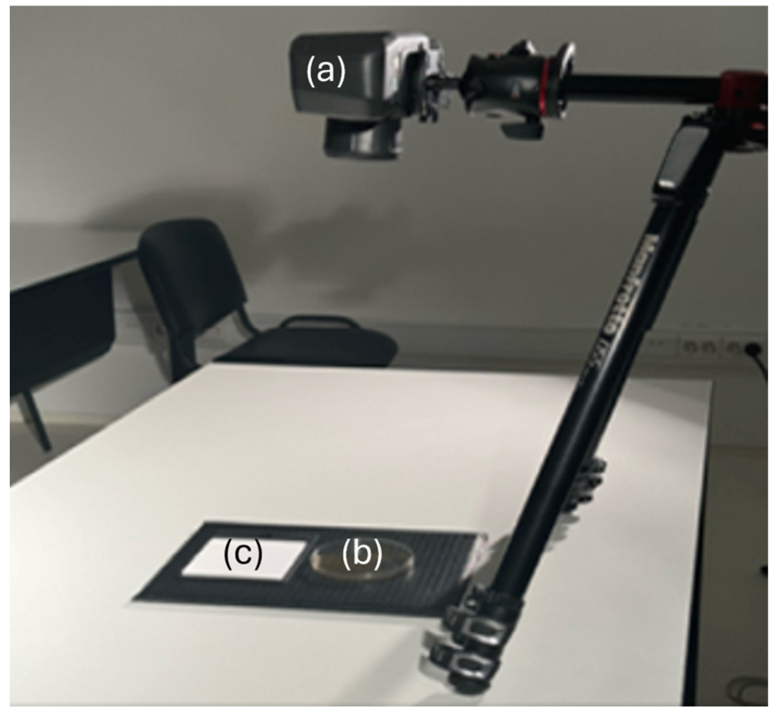 Applsci 15 03822 g001 Applsci 15 03822 g001