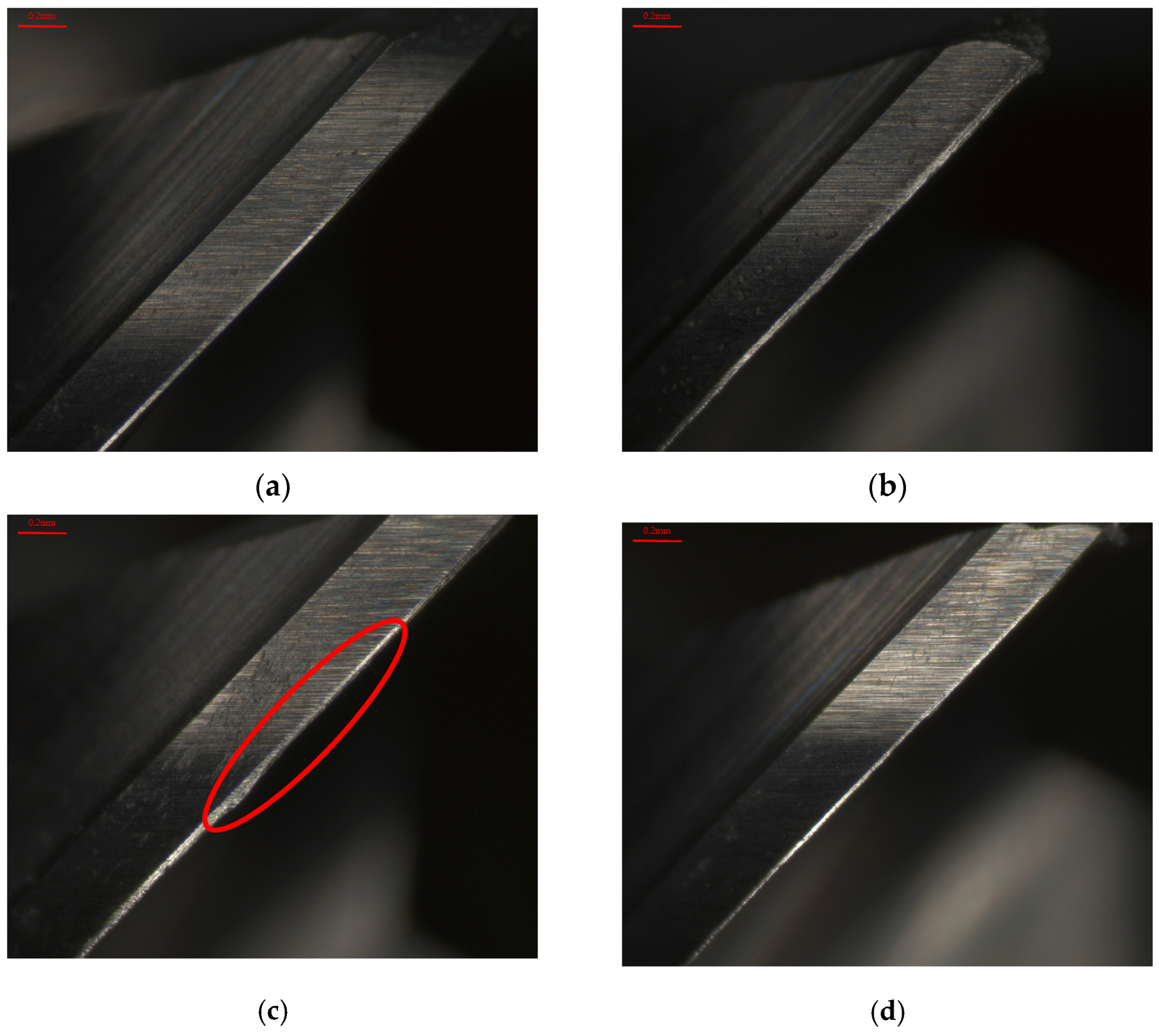 Applsci 15 03848 g010