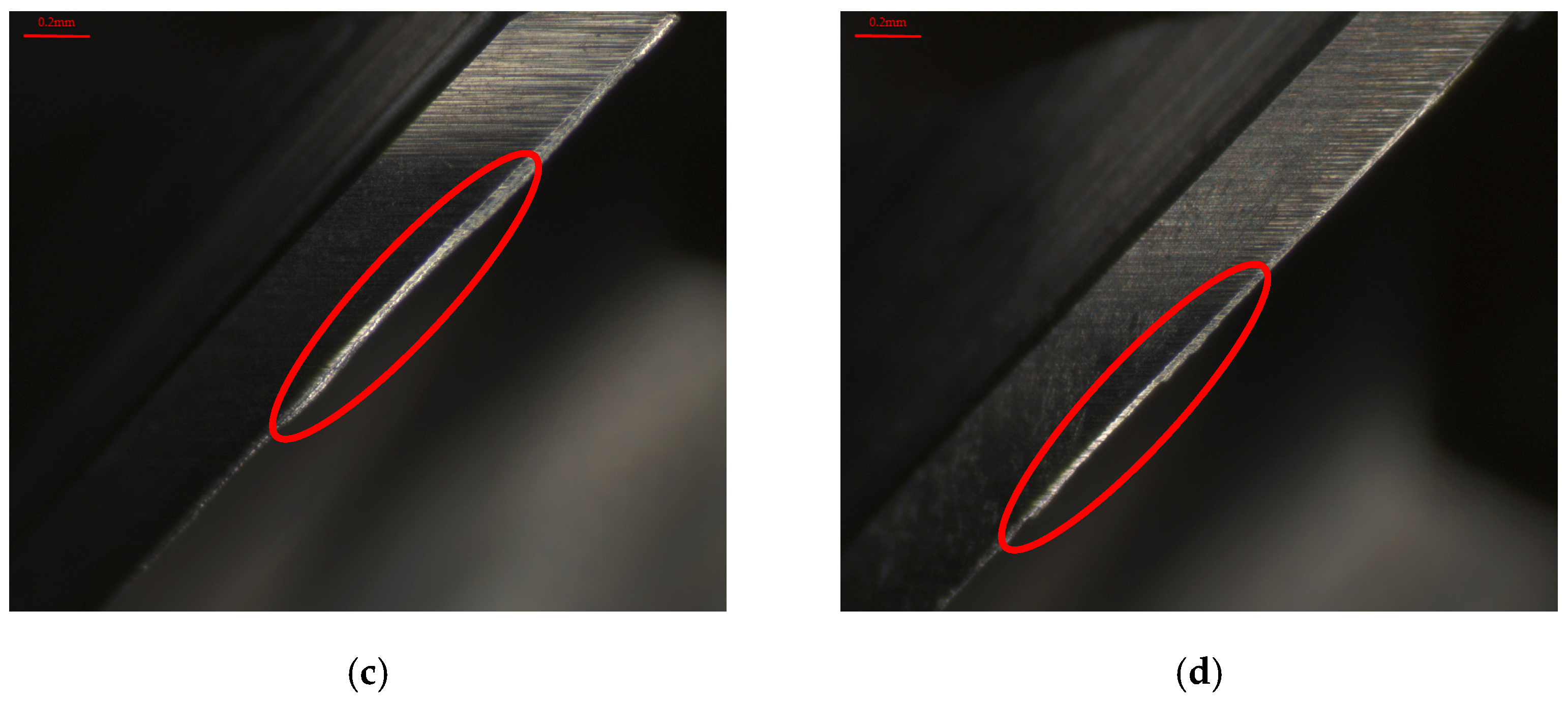 Applsci 15 03848 g011b