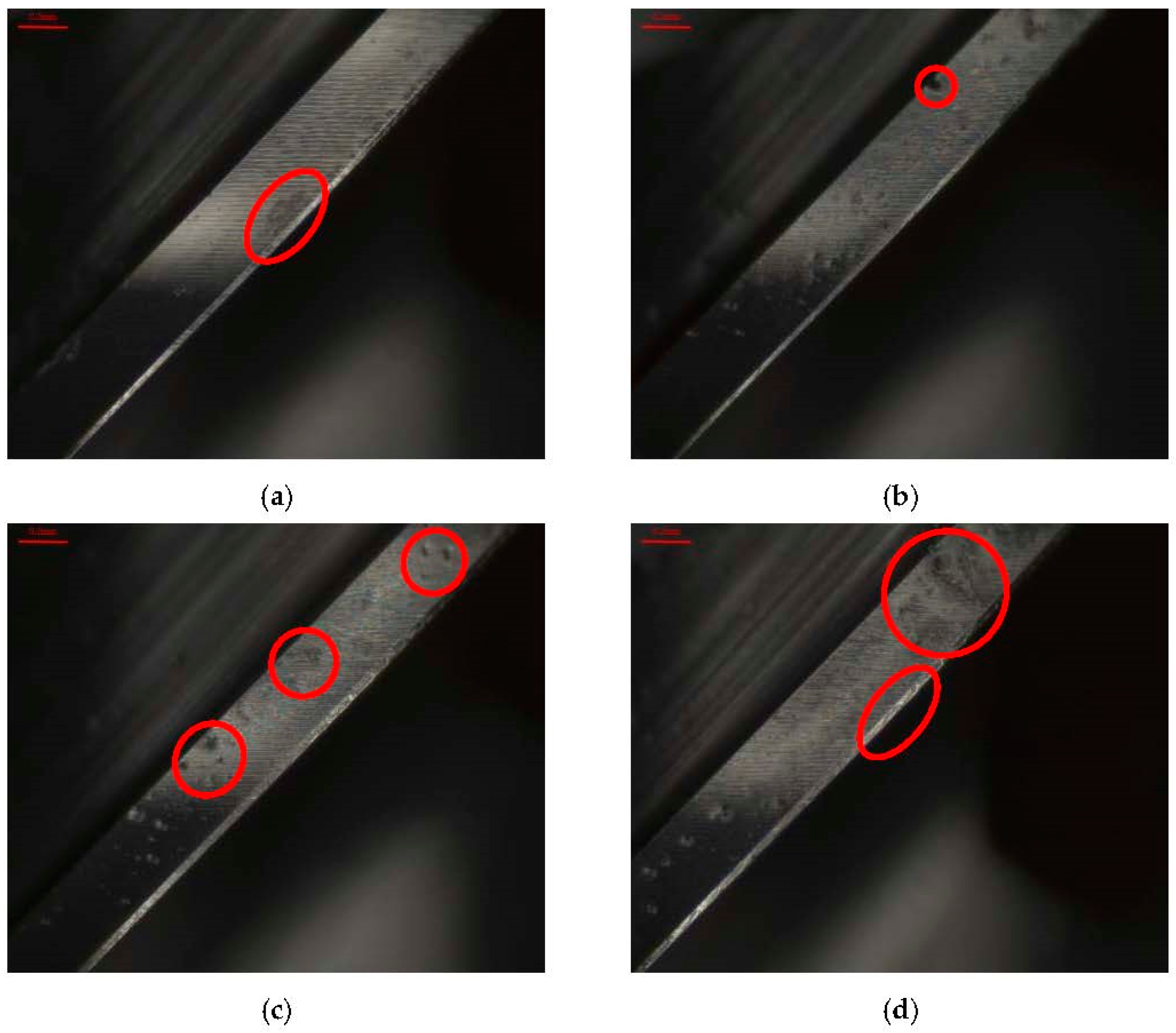 Applsci 15 03848 g012