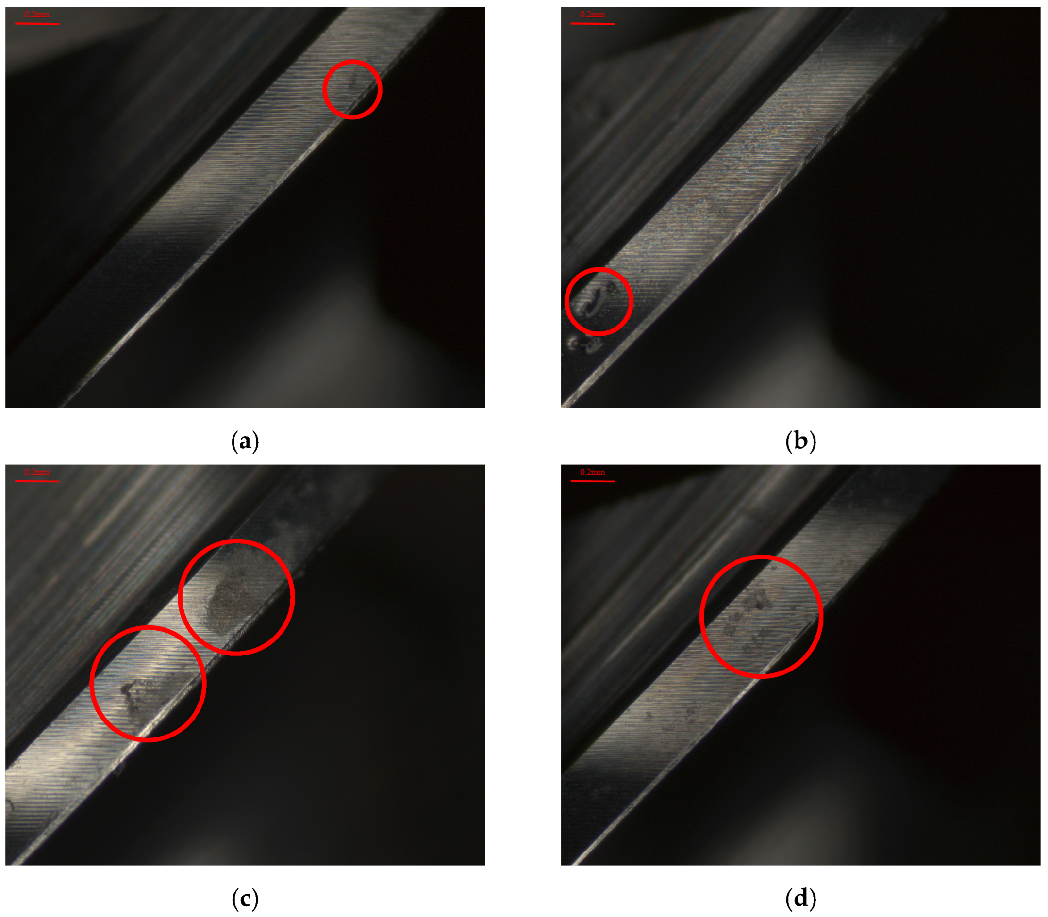 Applsci 15 03848 g013