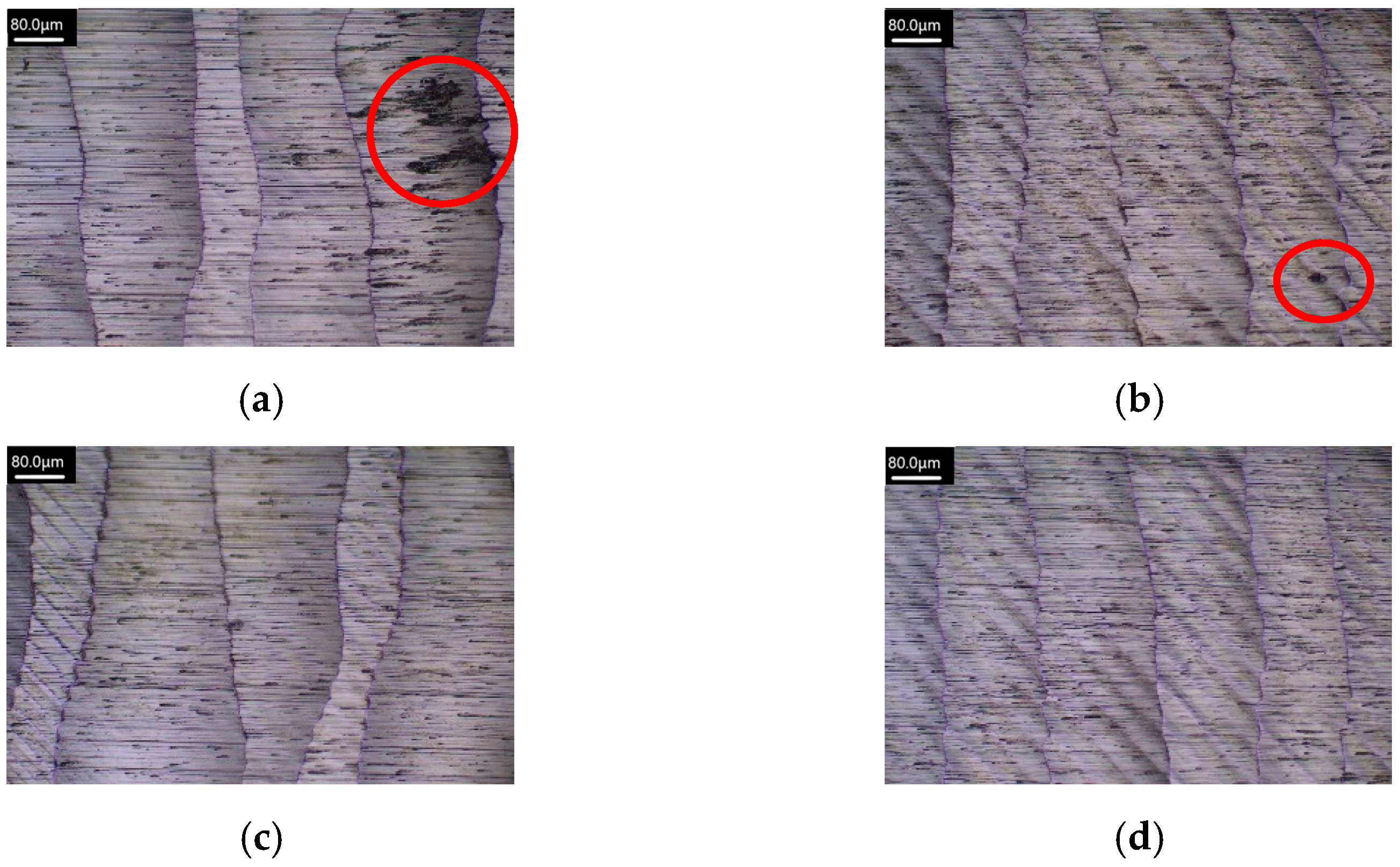 Applsci 15 03848 g019