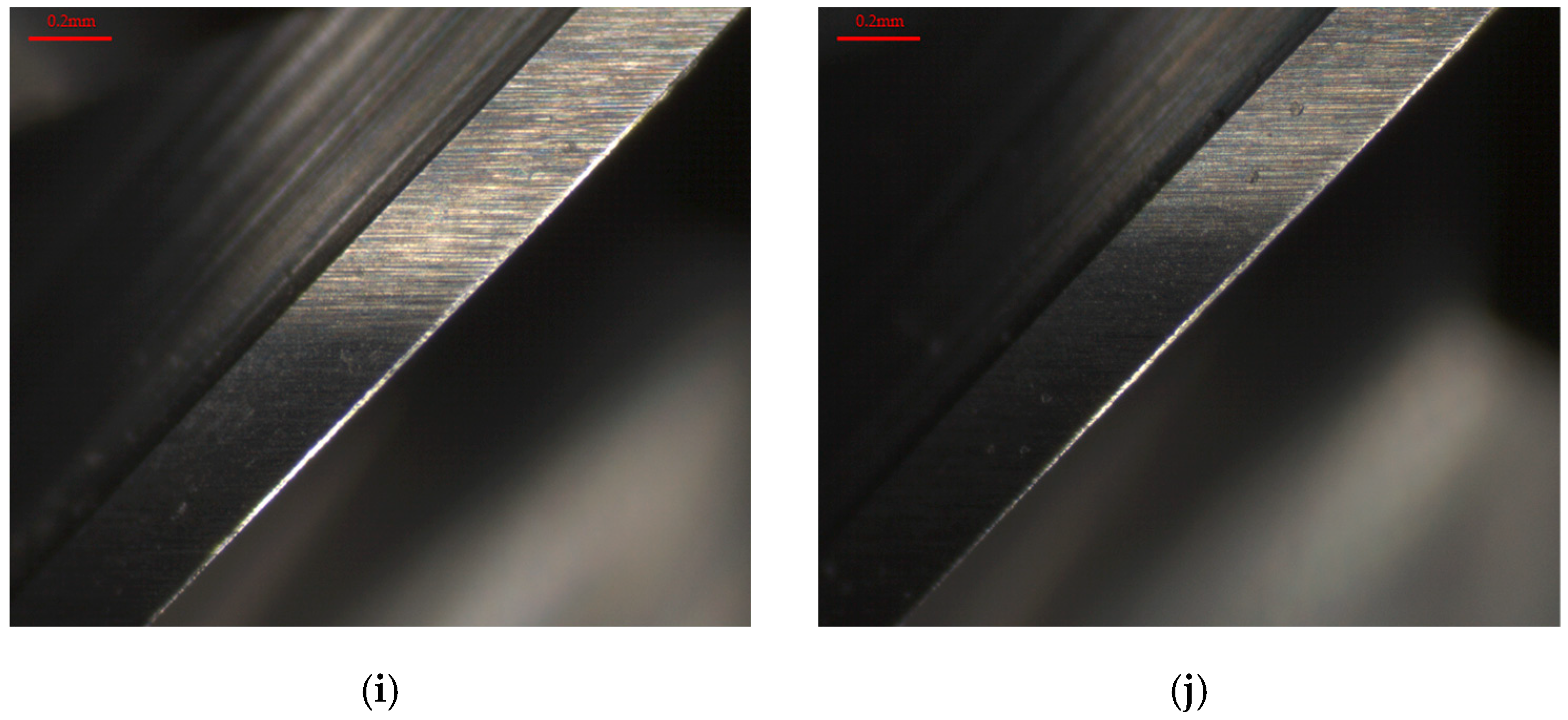 Applsci 15 03848 g023b