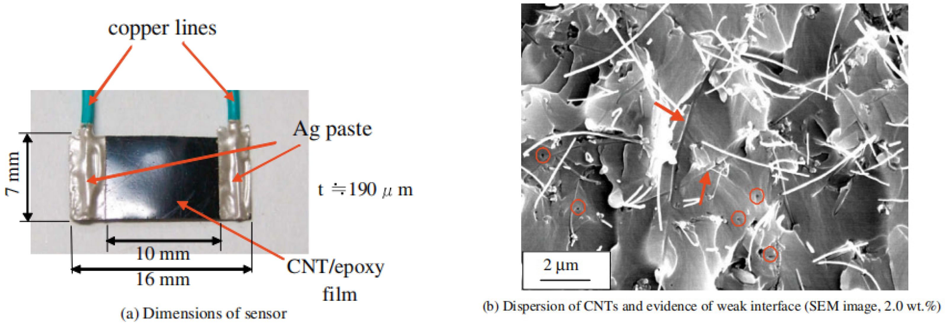 Applsci 15 03945 g011 Applsci 15 03945 g011