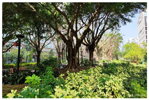 Applsci 15 03946 i005