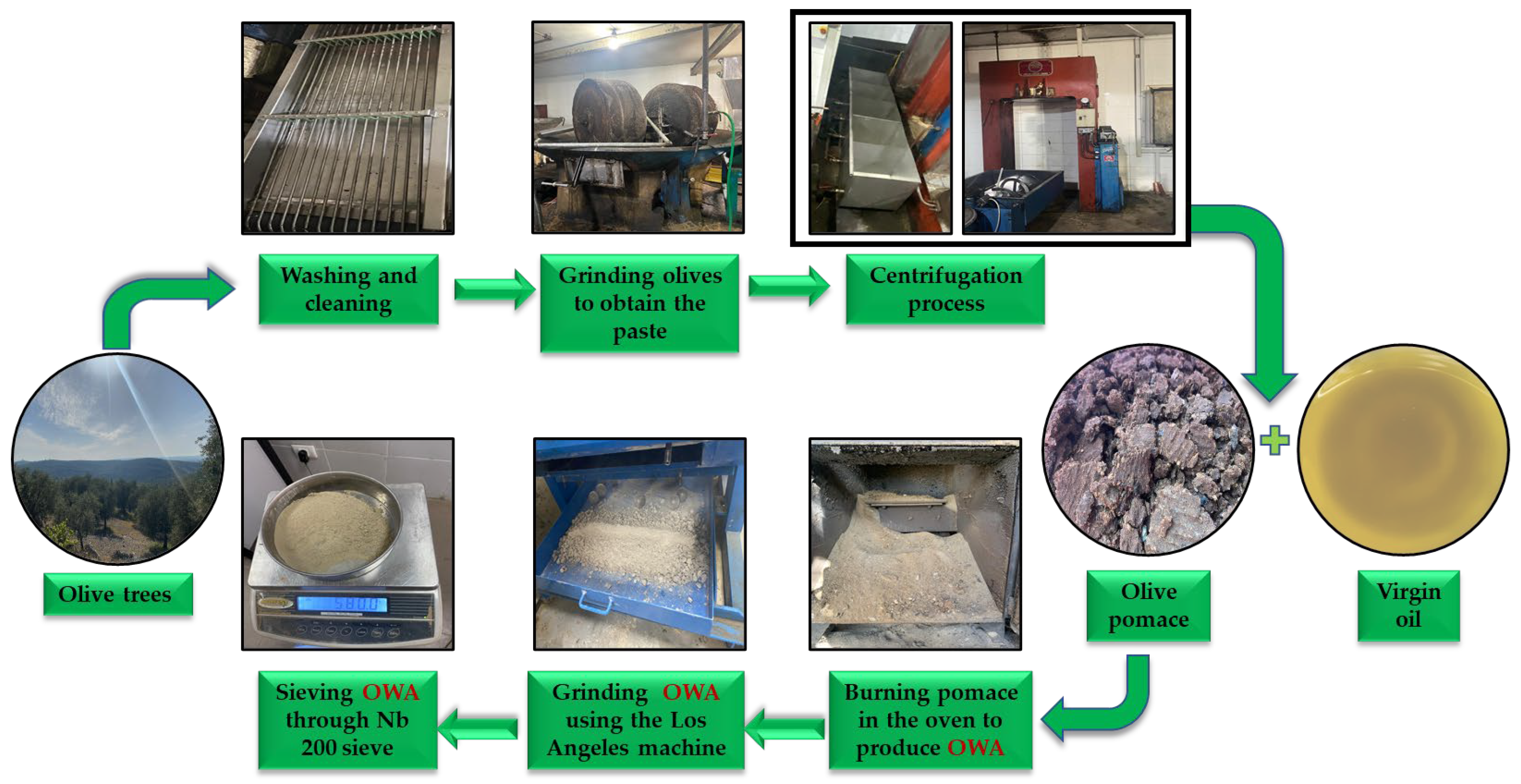 Applsci 15 03959 g001