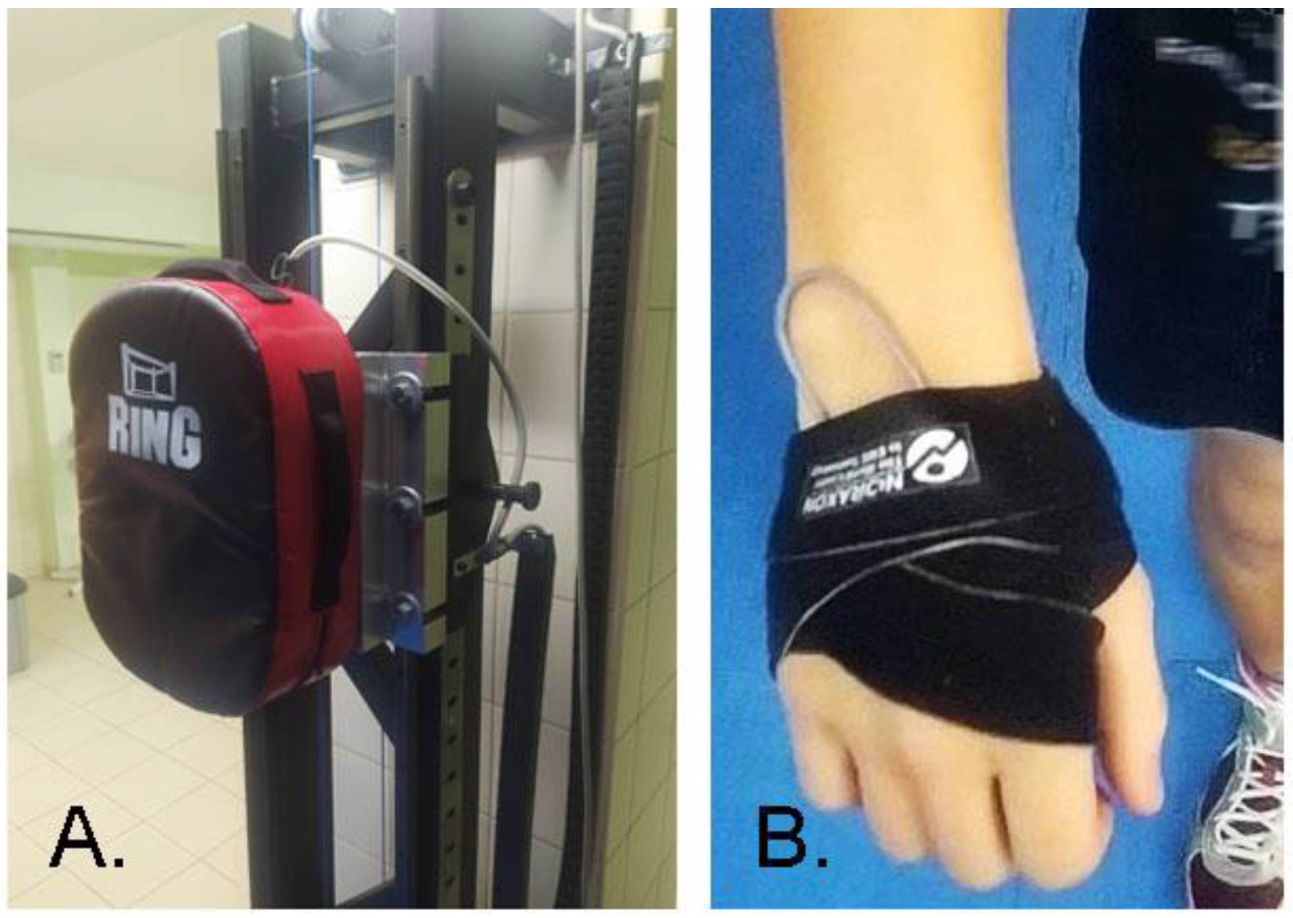 Applsci 15 04008 g001