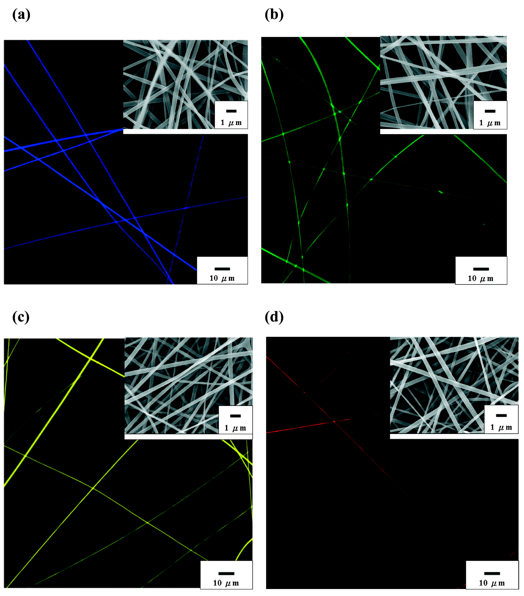 Applsci 15 04028 g002